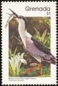 Black-crowned Night-heron (Nycticorax nycticorax)